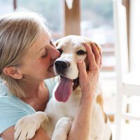 How to Use a Pet Trust to Provide For Your Beloved Pet if You Die How to Use a Pet Trust to Provide For Your Beloved Pet if You Die