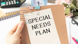 Understanding the role of ABLE Accounts in special needs plans